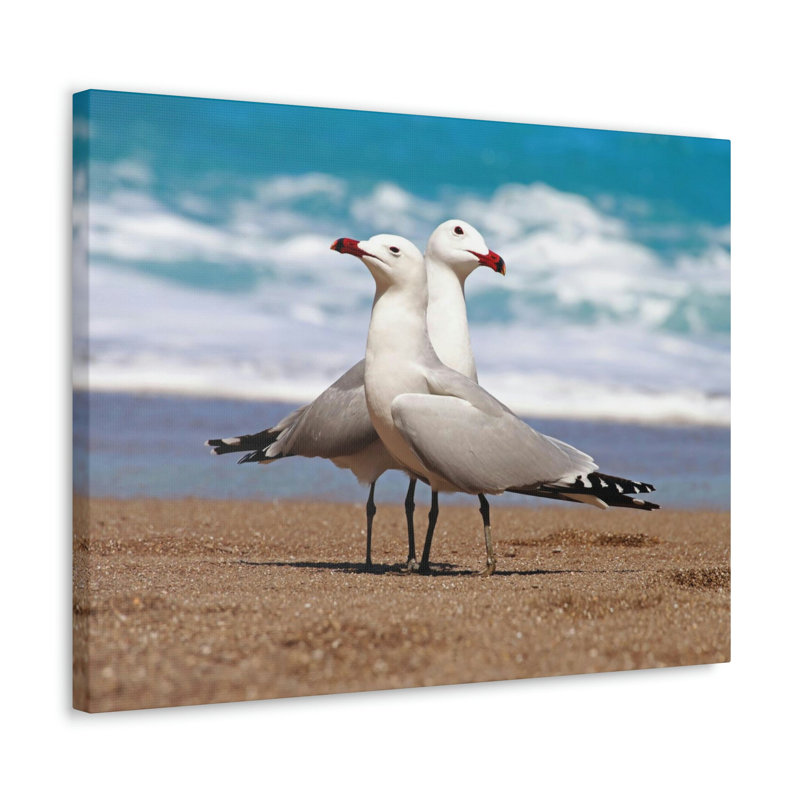 No Frame Print on Canvas, 18cm H x 24cm W