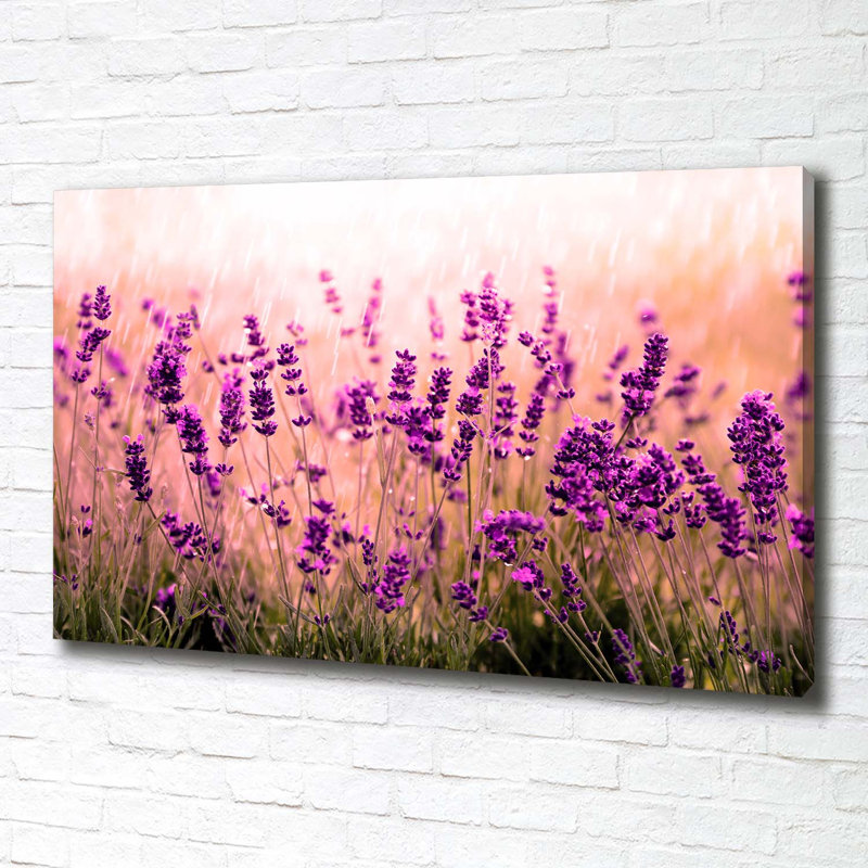 Lavender - Wrapped Canvas Print
