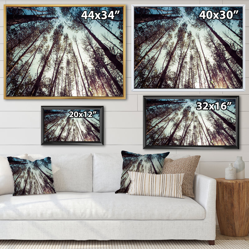 «High Forest Trees And Blue Sky», reproduction sur toile, Cadre flottant doré, H 24 po x l 32 po