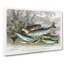 Fished Salmon And Trout by Oliver Goldsmith - Wrapped Canvas-55363761