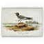 " Aviary Drawing VI "-22188426-28041911-28041913
