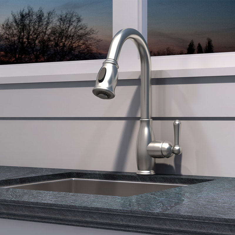 Robinet de cuisine à poignée simple avec accessoires Accent, Nickel brossé en dépôt physique en phase vapeur