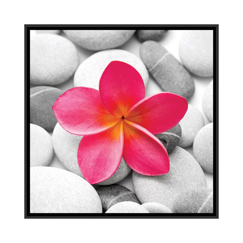 Fleur zen par PhotoINC Studio - Impression sur toile tendue sur châssis, H 18 po x l 18 po x P 1,5 po, Toile avec cadre noir