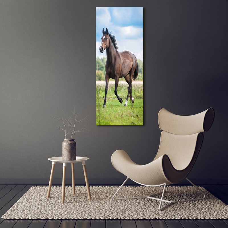Horse On The Field - Wrapped Canvas Print