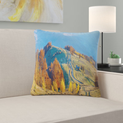 Throw Pillow