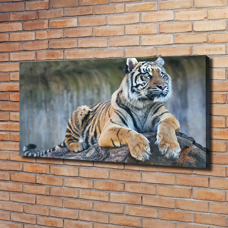Tiger - Wrapped Canvas Print