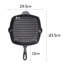 Thonotosassa 29.5cm Cast Iron Grill Pan / Griddle Set