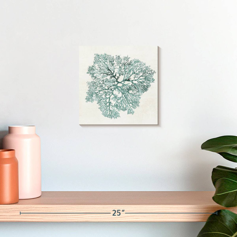 Corail Brampt sarcelle, H 10 po x l 10 po