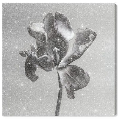 Tidal Wilt III Floral & Botanical Canvas Print by Oliver Gal, Black Frame, 12 x 12
