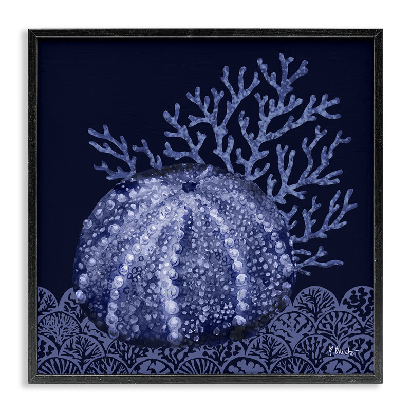 Oursin foncé, estampe numérique par Paul Brent, H 12 po x l 12 po, Giclée encadrée noir minuit