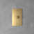 Brass