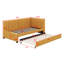 Lit Narali-835808338