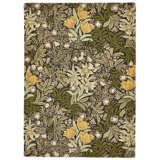 Wool Floral Area Rug