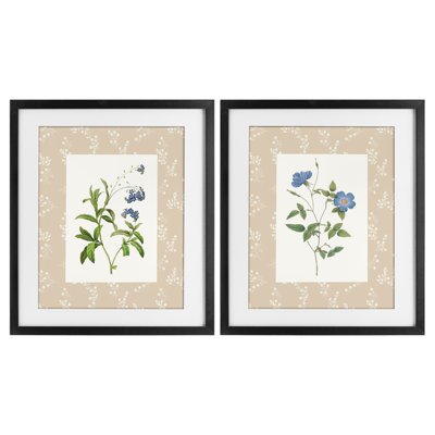 «Herbs on Beige Botanicals», ensemble de 2 reproductions encadrées sous verre, par Val Rhodes