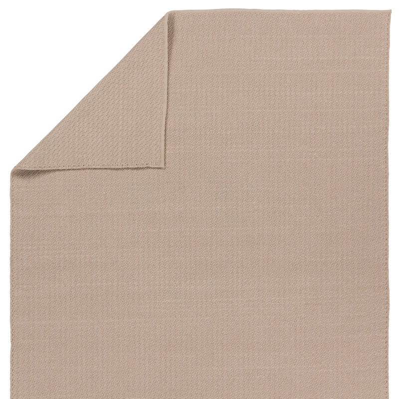 Area Rug in Beige, Rectangle 2' x 3'