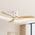 White with Beige Blade