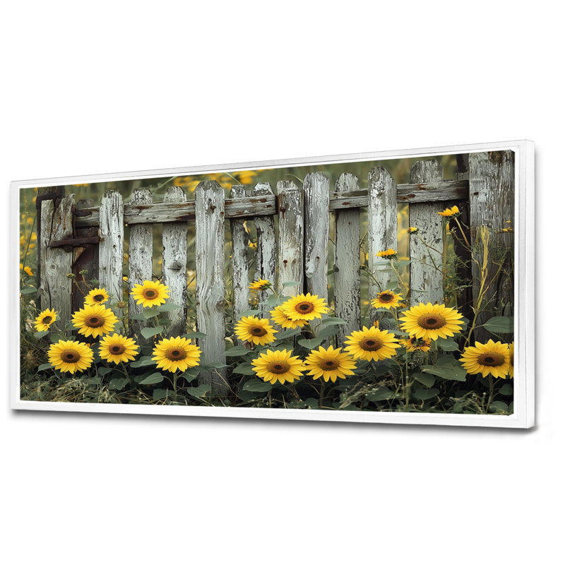 Drotar tournesols et la clôture de ferme I - tournesols, art mural, H 28 po x l 60 po, Impression encadrée flottante, Blanc