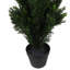 Faux Topiary in Pot Liner-93622442