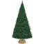 Seagrass Tree Collar