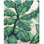 Feuilles de bananier - Reproduction d'art sur toile tendue-58034147