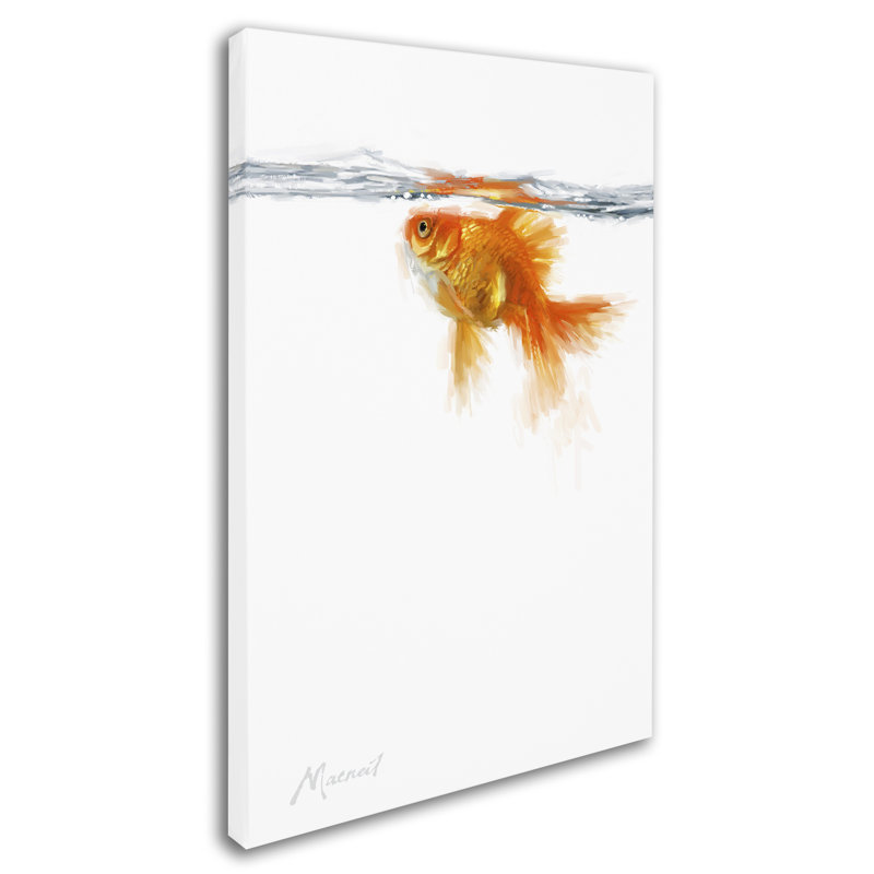 Armand 'Goldfish' Print on Canvas, 47" H x 30" W x 2" D