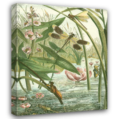 Lark Manor™ Vision Studio Gallery Wrapped Canvas Art Titled: DragoFootbally Gathering II