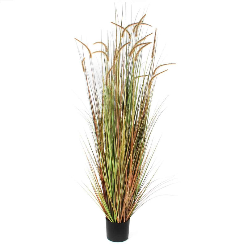 Dohera Faux Plume Grass in Pot, 180cm H x 85cm W x 85cm D, Multicolor