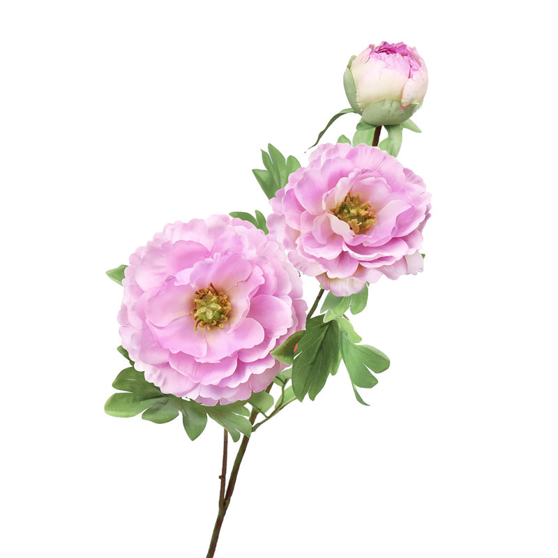 Tiges de pivoines, Lavande