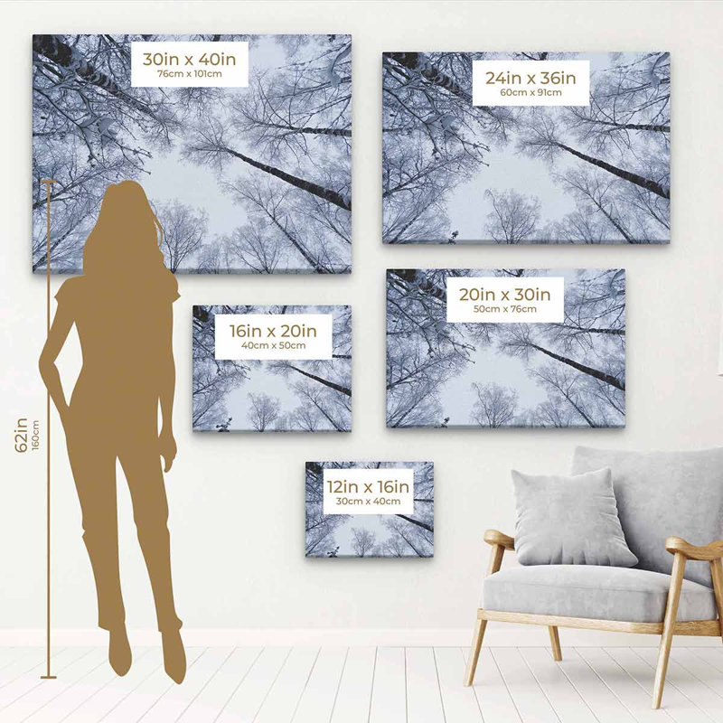" White Winter ", Black Floater Framed, 16" H x 20" W