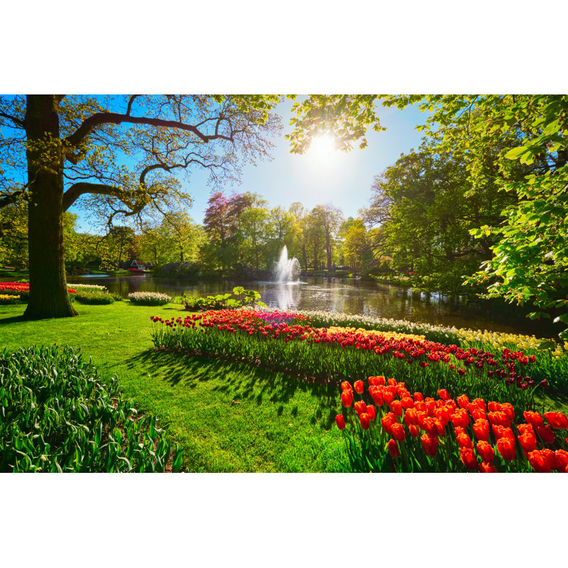 Keukenhof Flower Garden by F9photos - Wrapped Canvas Print, 61cm H x 91cm W