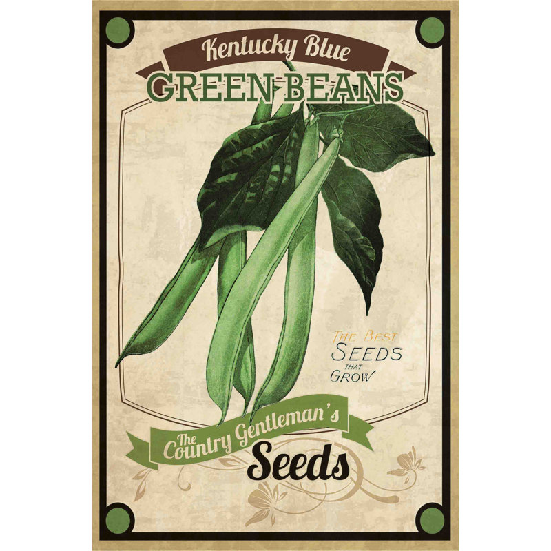 « seed packet greenbeans », reproduction d’art sur toile tendue, H 60 po x l 40 po