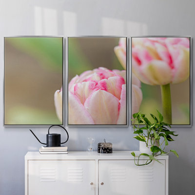 Blush, reproduction sur toile 3 pièces