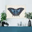 « Beautiful Butterfly III », reproduction d’art sur toile tendue-1936129902