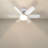 Fans Lights With Remote, 6 Speed 3 Color Fan Lights In Summer With Extender