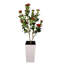 Plant-1461763215
