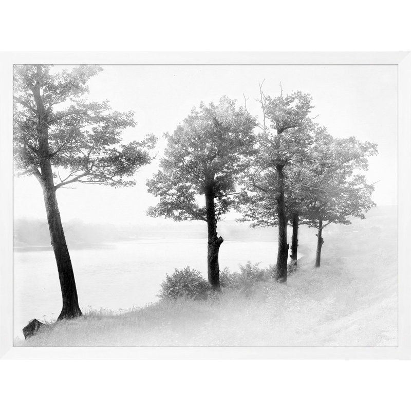 Treeline' Framed Photographic Print on Glass