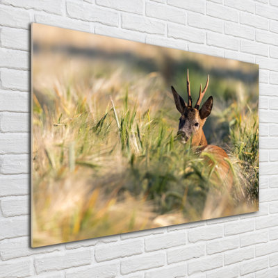 Deer In The Field - No Frame Print on Glass