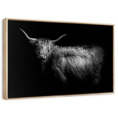 Hello Highland Cow