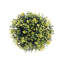 Faux Hedge-768811344-768772917