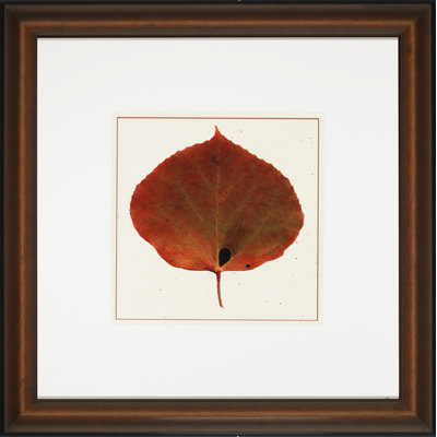Nature Leaves IV Print