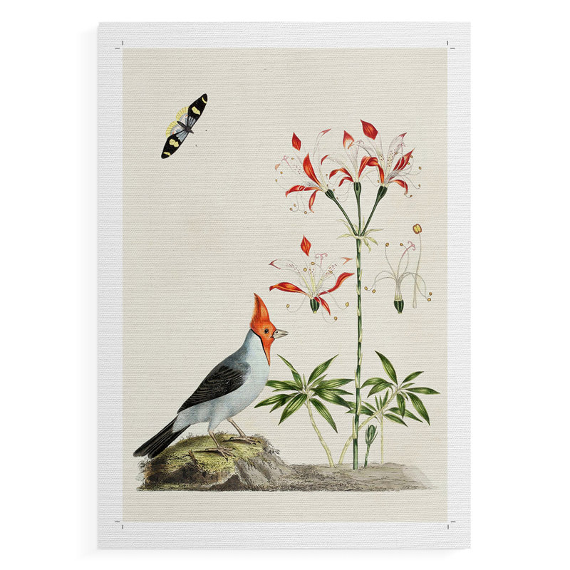 Bird in Habitat I - Impression sur toile seulement - NON-CADRE, H 18 po x l 12 po