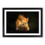 Red Squirrel - Framed Print-55598278-55598284