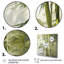 Bamboo Romantic Impression II - impression-1349466853-1401597246