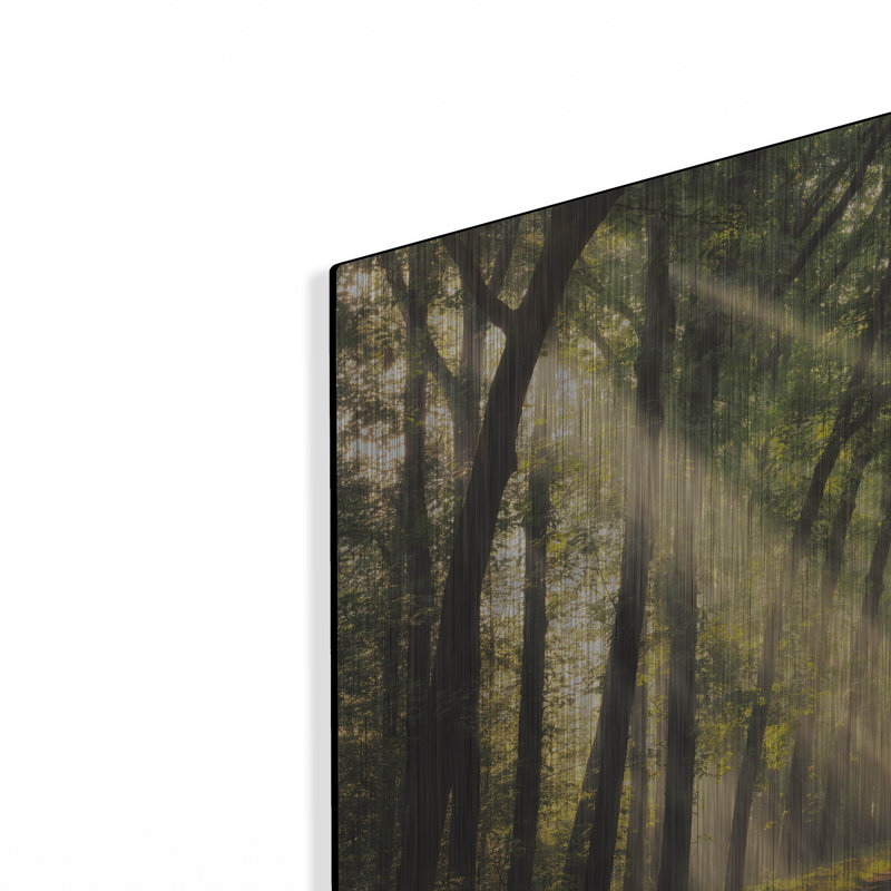 "La lumière de Lochem" par Martin Podt, H 12 po x l 16 po