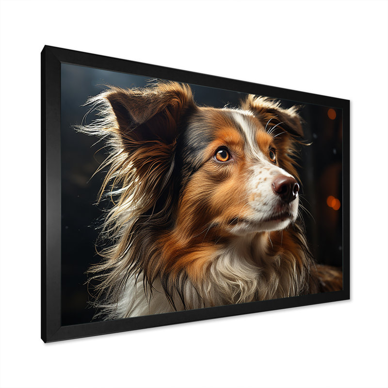 Collie Contemplation sur toile, Cadre simple noir, H 40 po x l 30 po x P 1,5 po