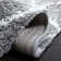 Tapis gris clair / crème Matterson