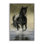 Éclaboussures de cheval au galop par Victoria Schultz