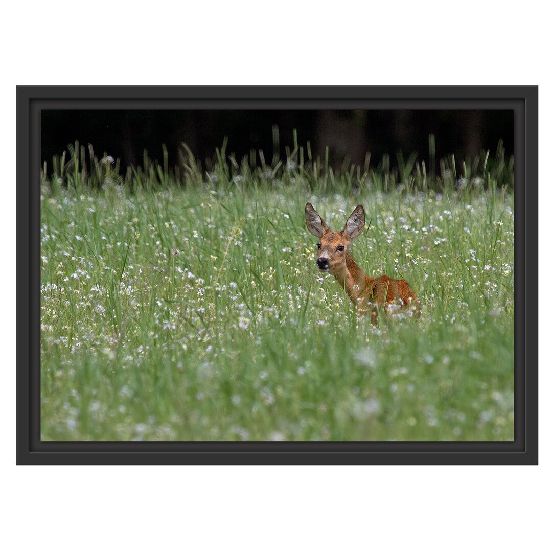 Gerahmtes Wandbild kleines Rehkitz auf Wiese