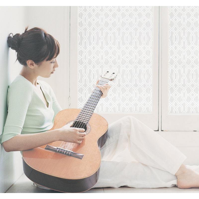 Classico Window Film 24" x 36"