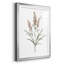 Dainty Botanical I - Single Picture Frame Print-1834541886-1834541884